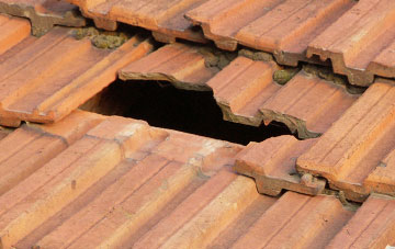 roof repair Peppercombe, Devon